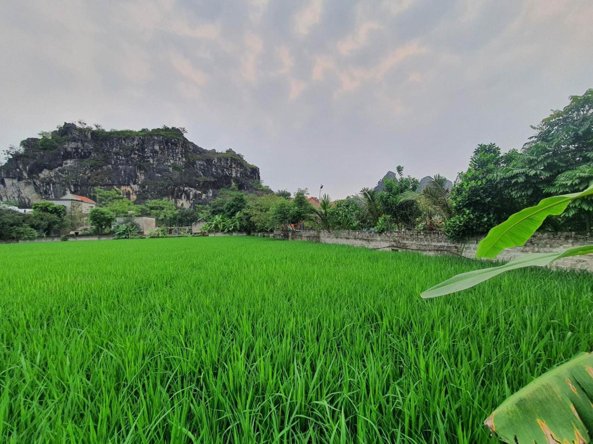 Trang An Garden Bungalow Нин Бин Екстериор снимка